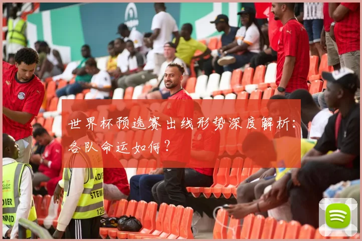 世界杯预选赛出线形势深度解析：各队命运如何？