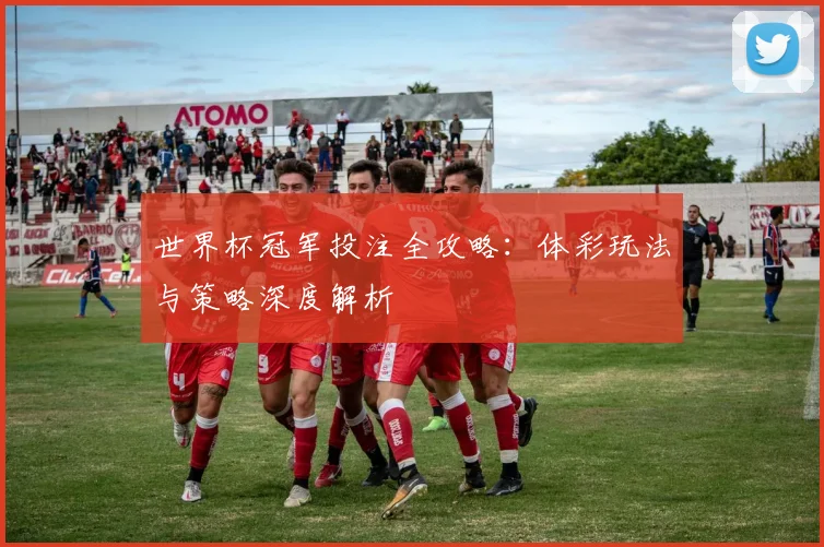 世界杯冠军投注全攻略:体彩玩法与策略深度解析